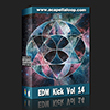鼓音色/EDM Kick Vol 14
